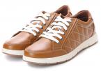 AAA+ 2347.