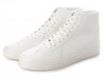 AAA+ 2428.